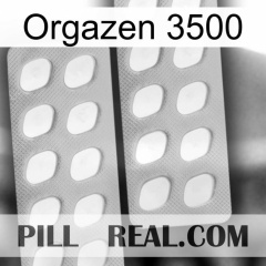 Orgazen 3500 27